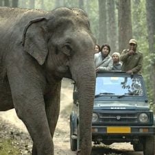 Best-Wildlife-Adventure-Tour