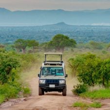 Best-of-Gujarat-With-Wildlife