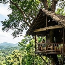 Best-of-Kerala-with-Treehouse-Stay