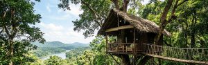 Best of Kerala with Treehouse Stay