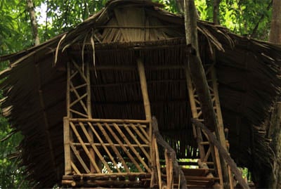 Best of Kerala with Treehouse Stay