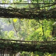 Blissful-Meghalaya-with-Kaziranga