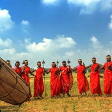Central-India-Tiger-Tour