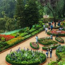 Coonoor-Ooty-Tour-From-Coimbatore