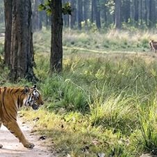 Delhi-Agra-with-Wildlife-Tour