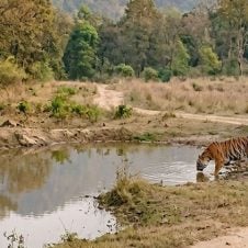 Delhi-to-Jim-Corbett-Tour-Package