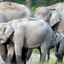 Doors-Tour-Package-From-Kolkata