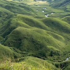Dzukou-Valley-Trekking-Tour