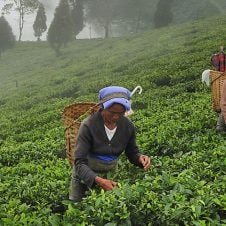 Enchanting-India-Tour