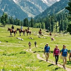 Gems-of-Kashmir