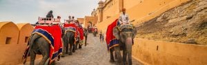 Golden Triangle with Goa