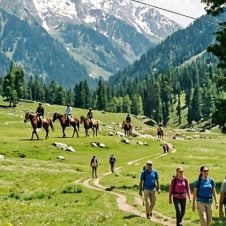 Joyful Kashmir Tour