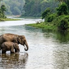 Karnataka-Tour-with-Wildlife