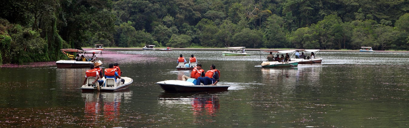 Karnataka and Kerala Tour