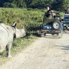 Kaziranga-National-Park