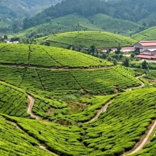Kerala-Beach-and-Backwater-Tour