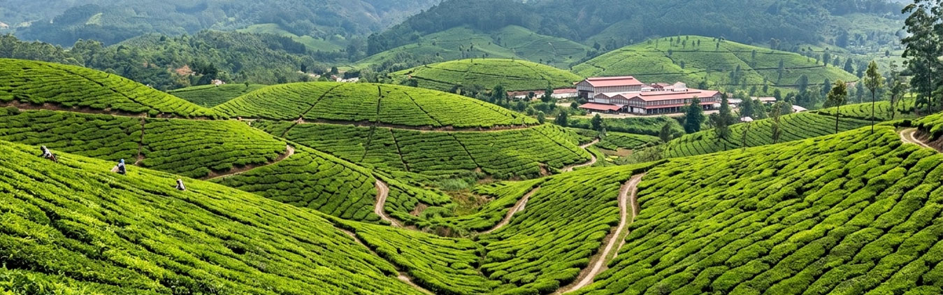Kerala Beach and Backwater Tour