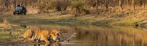Khajuraho With Tiger Tour