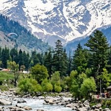 Manali-Kasol-Tour-From-Chandigarh