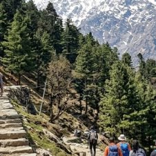Mcleodganj-Trekking-Tour