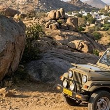 rajasthani-tour-with-leopard-spotting