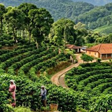 Northern-Kerala-Splendor-Tour