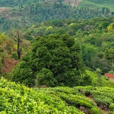 Offbeat-Kerala-Tour