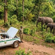 Orissa-Wildlife-Tour
