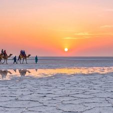 Rajasthan-and-Gujarat-Tour