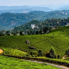 Romantic-Hills-of-South-India