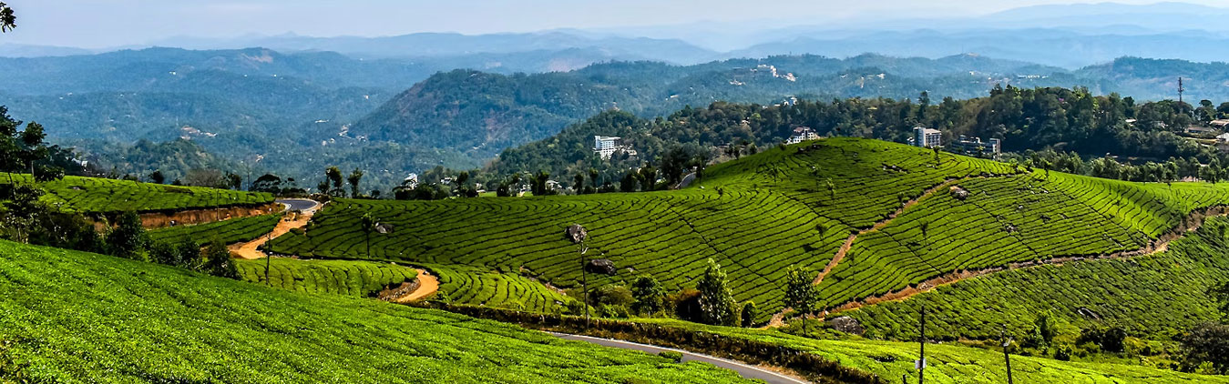 Romantic Hills of South India