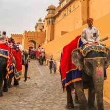 Royal-Rajasthan-Incentive-Tour