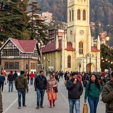 Shimla-Kufri-Tour-From-Chandigarh