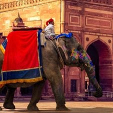 Splendor-of-India