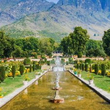 Splendors-of-Kashmir