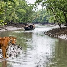 Sundarban-Tour-Package-From-Kolkata