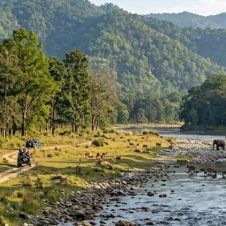 Uttarakhand-Wildlife