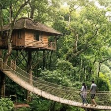 Wayanad-Vythri-Treehouse-Tour
