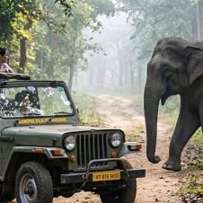 Wildlife-Tour-in-South-India