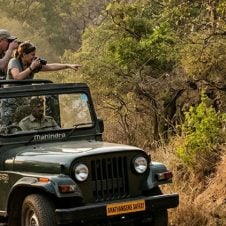 Wildlife-Tour-of-India-&-Nepal