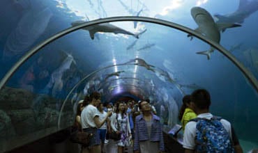Singapore Malaysia Thailand Tour Package