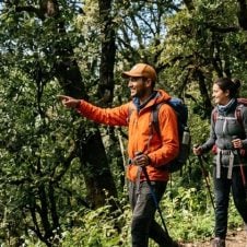 trekking-at-Binsar