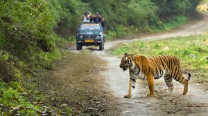 Corbett-National-Park
