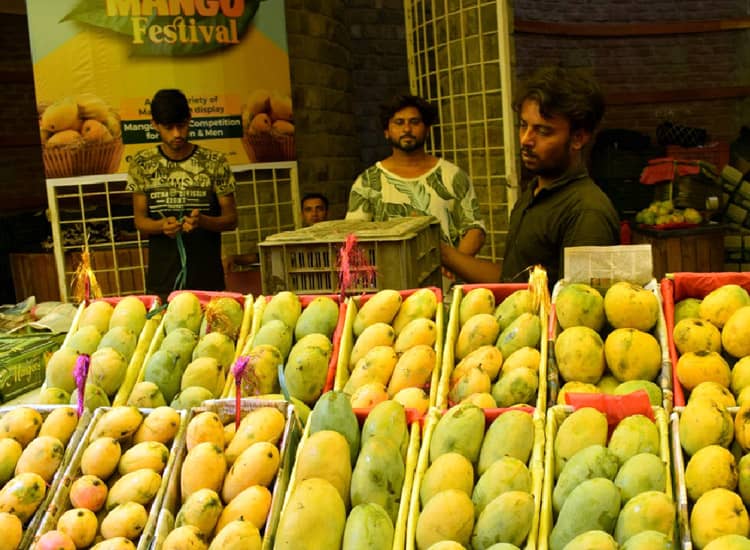 Culinary-Festivals-of-India