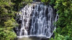 Elephant-Falls