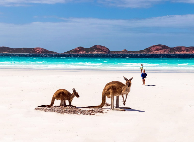 Kangaroo-Island,-South-Australia