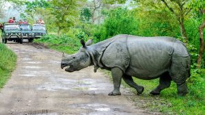 Kaziranga-National-Park