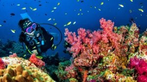 Lakshadweep-scuba-diving