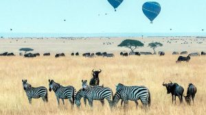 Maasai-Mara-National-Reserve