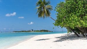 Maldives-Natural-Beauty